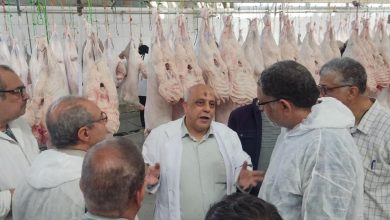 صورة “الزراعة” تعلن سفر 212 طبيبًا بيطريًا للإشراف على مشروع الهدي والأضاحي بمكة المكرمة لموسم الحج