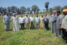 صورة “الزراعة” تكشف حقيقة شكوى مزارع البطيخ ببلطيم