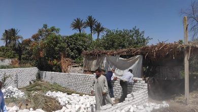 صورة “الزراعة”: إزالة 90 حالة تعدٍ على الأراضي الزراعية.. واستمرار غرف العمليات في ثاني أيام العيد