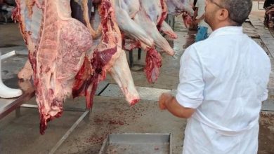 صورة اسعار اللحوم الحمراء البلدية اليوم السبت 30 مايو