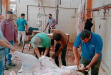 صورة “الزراعة” تعلن ذبح 35,514 أضحية بالمجازر الحكومية مجاناً للمواطنين خلال عيد الأضحى المبارك