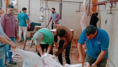 صورة “الزراعة” تعلن ذبح 35,514 أضحية بالمجازر الحكومية مجاناً للمواطنين خلال عيد الأضحى المبارك