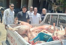 صورة محافظة الجيزة تضبط 10 آلاف كجم من اللحوم ومصنعات الدواجن الفاسدة ولحوم مذبوحة خارج المجازر الحكومية