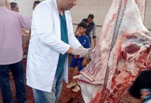 صورة اسعار اللحوم الحمراء البلدية اليوم الثلاثاء 9 – 7-  2026 