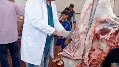 صورة اسعار اللحوم الحمراء البلدية اليوم الثلاثاء 9 – 7-  2026 