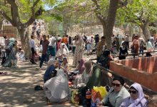صورة “حدائق الحيوان الإقليمية والأسماك” يستبلان  أكثر من 101 ألف زائر خلال أيام عيد الأضحى (صور)
