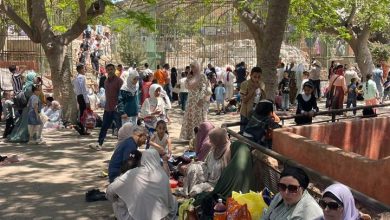 صورة “حدائق الحيوان الإقليمية والأسماك” يستبلان  أكثر من 101 ألف زائر خلال أيام عيد الأضحى (صور)