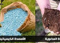 صورة غدا.. “الزراعة” تبدأ في صرف أسمدة الموسم الصيفي