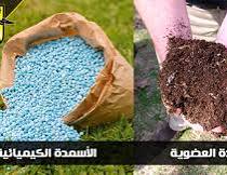 صورة غدا.. “الزراعة” تبدأ في صرف أسمدة الموسم الصيفي