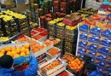 صورة ” الزراعة” تعلن زيادة الصادرات الزراعية المصرية الى 3.7 مليون طن