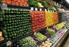 صورة اسعار الخضروات والفاكهة اليوم الثلاثاء 9- 7 – 2026