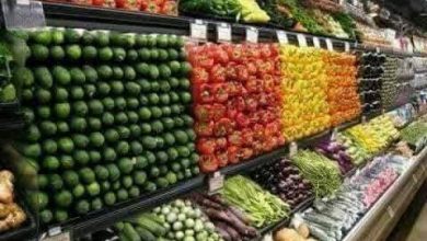 صورة اسعار الخضروات والفاكهة اليوم الثلاثاء 9- 7 – 2026